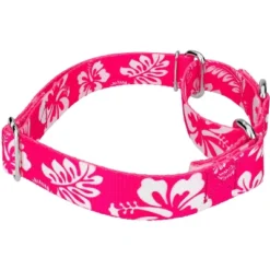 Country Brook Petz Pink Hawaiian Martingale Dog Collar And Leash 10 Country Brook Petz Pink Hawaiian Martingale Dog Collar And Leash -Pet Supplies Online GUEST 7d48a391 2012 48c9 a315 f295ec0097a8