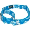 Country Brook Design - Blue Hawaiian Martingale Dog Collar -Pet Supplies Online GUEST 7d6f9201 9295 4a5d 8c9e 8543f182210e