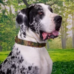 Country Brook Petz Southern Forest Camo Martingale Dog Collar -Pet Supplies Online GUEST 7dbd2fc5 3e25 4471 a35f 0851544a1538