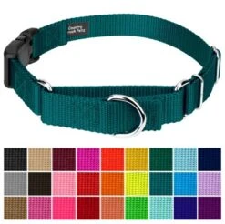Country Brook Petz Durable Nylon Martingale With Deluxe Buckle - Made In The USA -Pet Supplies Online GUEST 7dc2feef 6205 49c9 90e0 250f330bf953