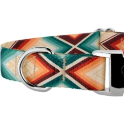 Country Brook Petz Premium Cheyenne Arrows Dog Collar -Pet Supplies Online GUEST 7e36157f 6166 4130 8f36 7153c53fd579