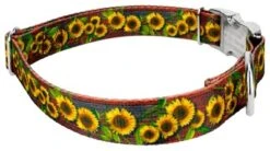 Country Brook Petz Premium Country Fields Dog Collar Limited Edition 9 Country Brook Petz Premium Country Fields Dog Collar Limited Edition -Pet Supplies Online GUEST 7e6588e0 7fb6 477c 9f3d 91f92c5894ef