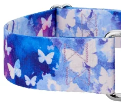 Country Brook Petz 1 1/2 Inch Watercolor Butterflies Martingale Dog Collar 9 Country Brook Petz 1 1/2 Inch Watercolor Butterflies Martingale Dog Collar -Pet Supplies Online GUEST 7e7120de 5657 4c1b 80e0 e18fd438a8c4