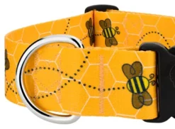 Country Brook Petz 1 1/2 Inch Deluxe Busy Bee Dog Collar -Pet Supplies Online GUEST 80eb0476 108e 4c9a 91e6 c8a598f00b46