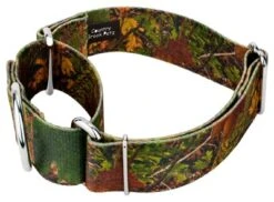 Country Brook Petz 1 1/2 Inch Southern Forest Camo Martingale Dog Collar 12 Country Brook Petz 1 1/2 Inch Southern Forest Camo Martingale Dog Collar -Pet Supplies Online GUEST 80f41ee3 b1eb 4cb3 bb88 f7ad25917588