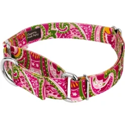 Country Brook Petz Pink Paisley Martingale Dog Collar And Leash -Pet Supplies Online GUEST 817e5ed5 586e 498b a2ae f0b4766d48b2