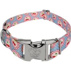 Country Brook Petz Premium Cherry On Top Dog Collar Limited Edition -Pet Supplies Online GUEST 81ccf4b6 cd32 4e6c be87 1c6c53e82378