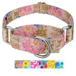 Country Brook Petz Martingale Dog Collar - Spring Collection -Pet Supplies Online GUEST 82b61599 7e84 4334 96bb ac1b8be5d189