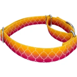 Country Brook Petz Martingale Dog Collar - Abstract Collection -Pet Supplies Online GUEST 8341be76 0fc0 4972 96da f86479461016