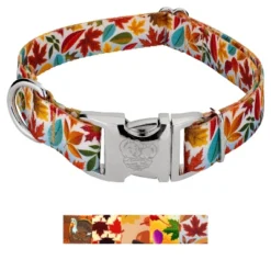 Country Brook Petz Premium Dog Collar - Awesome Autumn Collection -Pet Supplies Online GUEST 83875dc0 29d8 4f03 ba1f 412fd79ba22e