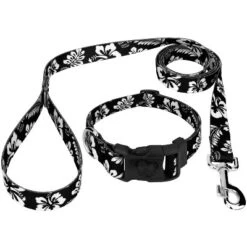 Country Brook Petz Black Hawaiian Deluxe Dog Collar And Leash -Pet Supplies Online GUEST 83a2fb82 c0ed 47eb 91a0 ccf3ae7ca607