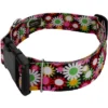 Country Brook Petz HossFit Jr Wide Deluxe Dog Collar - Floral Collection