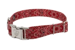 Country Brook Petz Premium Red Bandana Dog Collar -Pet Supplies Online GUEST 84240629 7227 4cf5 bc82 10e4d0c76db5