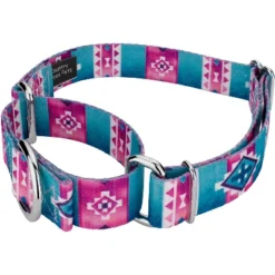 Country Brook Petz Albuquerque Martingale Dog Collar And Leash -Pet Supplies Online GUEST 84b93463 00f3 44be 96d0 2abb9989047b 1