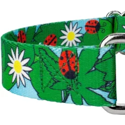 Country Brook Petz - Ladybug Picnic Martingale Dog Collar -Pet Supplies Online GUEST 8503c921 744f 42ba bfcd e6e19f4a343b