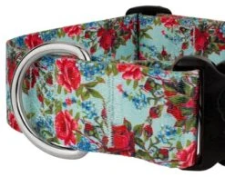 Country Brook Petz 1 1/2 Inch Deluxe Vintage Roses Dog Collar -Pet Supplies Online GUEST 85655bca ec80 4577 9138 c749f87662b5
