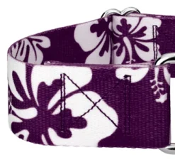 Country Brook Petz 1 1/2 Inch Purple Hawaiian Martingale Dog Collar 10 Country Brook Petz 1 1/2 Inch Purple Hawaiian Martingale Dog Collar -Pet Supplies Online GUEST 86ae3e04 a372 4447 8f66 37893e0e3057