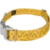 Country Brook Petz Premium Spring Cottagecore Dog Collar -Pet Supplies Online GUEST 86f4c600 4c36 462b 9ecb b074c3e76081