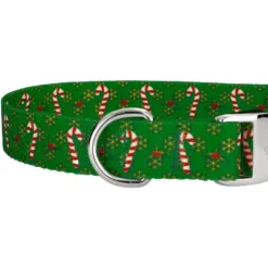 County Brook Petz Premium Dog Collar And Leash - Christmas Collection -Pet Supplies Online GUEST 875e4a9b 691b 4e43 bb94 f8c4cefdd972