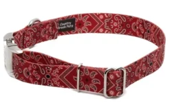 Country Brook Petz Premium Red Bandana Dog Collar -Pet Supplies Online GUEST 8797082d 706c 4dcb a928 b1fbe31b3121