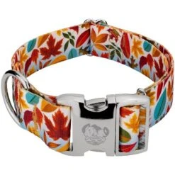 Country Brook Petz 1 1/2 Inch Premium Brisk Autumn Dog Collar -Pet Supplies Online GUEST 87e2f0cf d32d 48e2 b69a fe52ec6147f2