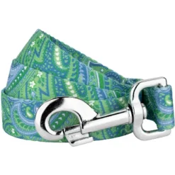Country Brook Design® 1 Inch Green Paisley Leash - 6 Feet -Pet Supplies Online GUEST 87eaf7d3 1388 4f6a adc2 f0b18e507259