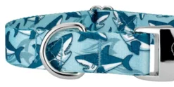 Country Brook Petz Premium Sharks Dog Collar -Pet Supplies Online GUEST 881a39e6 c123 4af0 89d3 055097acf882