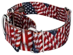 Country Brook Petz 1 1/2 Inch Patriotic Tribute Martingale Dog Collar -Pet Supplies Online GUEST 88b5fa65 41d0 4095 a745 809940303cd2