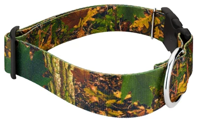 Country Brook Petz 1 1/2 Inch Deluxe Southern Forest Camo Dog Collar 4 Country Brook Petz 1 1/2 Inch Deluxe Southern Forest Camo Dog Collar - Image 2