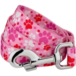 Country Brook Petz 6 Foot Dog Leash - Affection Collection -Pet Supplies Online GUEST 8987c552 52c4 448a 8102 84eca24b8b8d