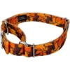 Country Brook Petz Orange Sunset Camo Martingale Dog Collar And Leash -Pet Supplies Online GUEST 8a4f0de4 9ae3 489b 95d0 c6b3b2f27ccb