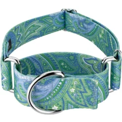 Country Brook Petz 2 Inch Green Paisley Martingale Dog Collar -Pet Supplies Online GUEST 8a8fe20a fbd6 4369 8f44 d49cc6152b3e