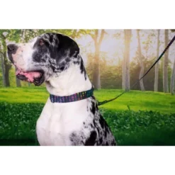 Country Brook Petz Premium Dog Collar - Chevron And Arrows Collection -Pet Supplies Online GUEST 8aaad351 95f6 4a8d 81d5 57dfad51436c