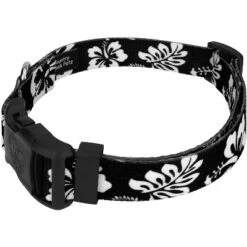 Country Brook Petz Black Hawaiian Deluxe Dog Collar And Leash -Pet Supplies Online GUEST 8abba47f 1d5e 48b5 95b0 047076819450
