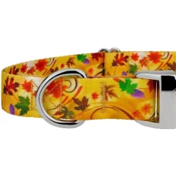 Country Brook Petz Premium Dog Collar - Awesome Autumn Collection -Pet Supplies Online GUEST 8b4b9ebb 4263 4b90 bb16 1896568512dd