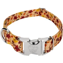 Country Brook Petz Premium Fall Foliage Dog Collar -Pet Supplies Online GUEST 8bd340ea 29a9 4992 a0eb e25d51922256