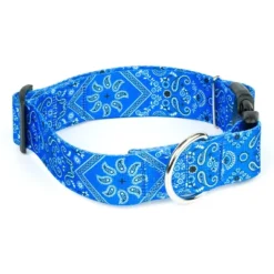 Country Brook Petz HossFit Jr Wide Deluxe Dog Collar - Country And Western Collection -Pet Supplies Online GUEST 8be5f27b 1d6e 49e9 b18d 9c91b6cbf71f