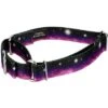 Country Brook Petz Heavenly Space Martingale Dog Collar (1/2 Inch, 2XS)