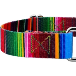 Country Brook Petz Serape Martingale Dog Collar -Pet Supplies Online GUEST 8c20ca12 3fc5 465b b236 dab69a52400a