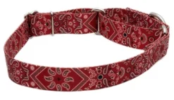 Country Brook Petz Red Bandana Martingale Dog Collar -Pet Supplies Online GUEST 8c32293b acfd 4aa7 9e5f dd85e7c7ad28