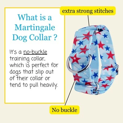 Country Brook Petz HossFit Jr Wide Martingale Dog Collar - Americana Collection 3 Country Brook Petz HossFit Jr Wide Martingale Dog Collar - Americana Collection