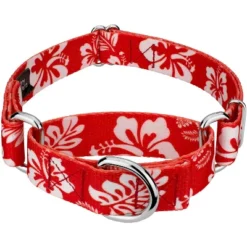 Country Brook Petz - Red Hawaiian Martingale Dog Collar -Pet Supplies Online GUEST 8d81d231 244d 4c61 a52f ae27075f817a