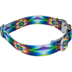 Country Brook Petz Premium Dog Collar And Leash - Groovy Collection -Pet Supplies Online GUEST 8daa025e 2b70 4651 92ac 59a21345cb51
