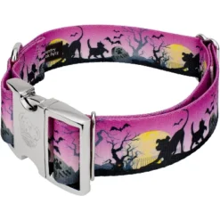 Country Brook Petz HossFit Jr Wide Premium Dog Collar - Halloween Collection