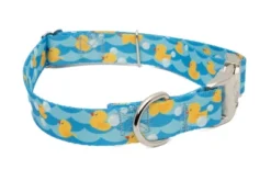 Country Brook Petz Premium Just Ducky Dog Collar -Pet Supplies Online GUEST 8dc9d92e f5d8 4d9a a588 ad12c7d535fb