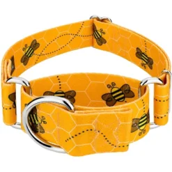Country Brook Petz 1 1/2 Inch Busy Bee Martingale Dog Collar 11 Country Brook Petz 1 1/2 Inch Busy Bee Martingale Dog Collar -Pet Supplies Online GUEST 8e1275df 1766 4ded 89f3 1f081f93b9d3