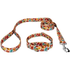 Country Brook Petz Brisk Autumn Martingale Dog Collar And Leash -Pet Supplies Online GUEST 8e530a49 e028 43d8 b46e 2d8f22ba5510