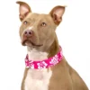 Country Brook Petz 1 1/2 Inch Pink Hawaiian Martingale Dog Collar -Pet Supplies Online GUEST 8e57febc eee4 4b1b a237 3fdd2b21bc7b