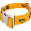 Country Brook Petz 1 1/2 Inch Premium Busy Bee Dog Collar -Pet Supplies Online GUEST 8e745a34 0e3e 478c a816 c9c6f54cd69b