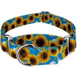 Country Brook Petz Sunflowers Martingale Dog Collar 11 Country Brook Petz Sunflowers Martingale Dog Collar -Pet Supplies Online GUEST 8ee52b47 8bd2 4070 8ddf 763d31e33f30